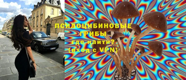 соль ск Новодвинск