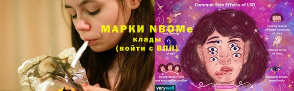 мяу мяу мука Абаза